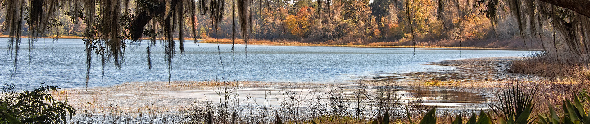 The image shows a tranquil lake scene with a reflection of trees on its surface, surrounded by a lush landscape with greenery and marshland, under an overcast sky.
