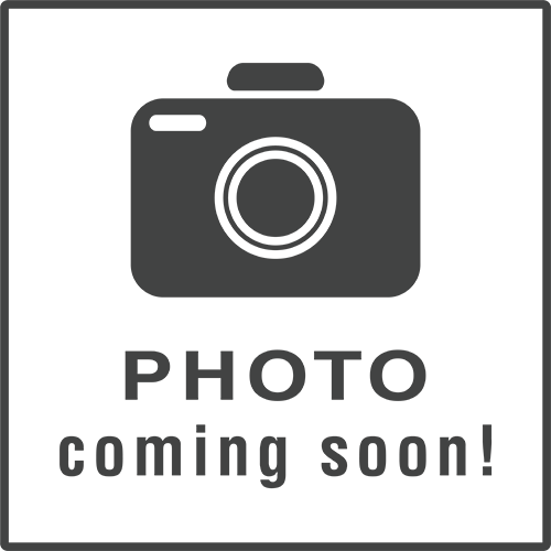 The image displays a black-and-white sign with a camera icon at the top, indicating photography, followed by text that reads  PHOTO  and  COMING SOON . Below this text, there s an illustration of a camera with a lens on the right side. The style of the image is minimalistic and informative, commonly used in real estate or event promotion to indicate the availability of photography services at a future date.